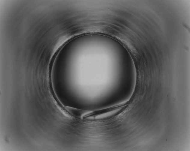 X0000097770894200803141742
