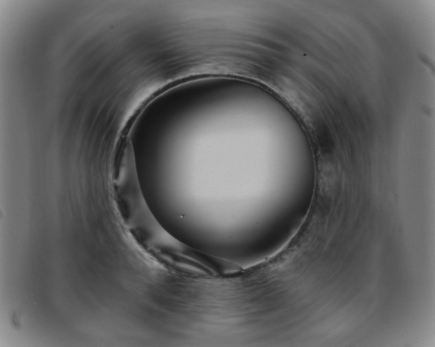 X0000097770896200803141742