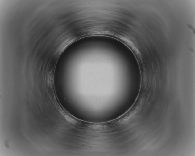 X0000097770897200803141742