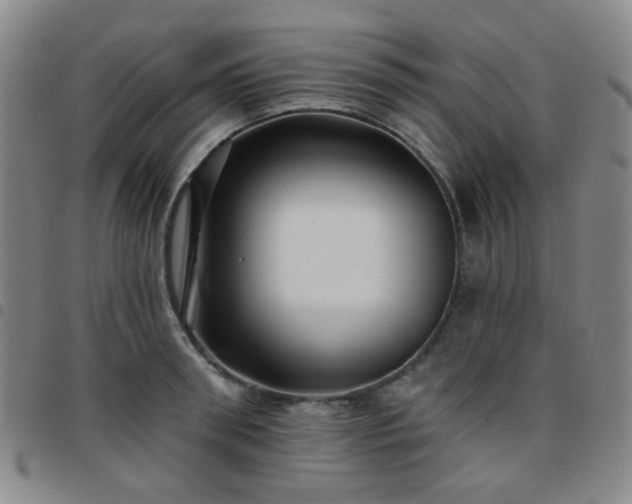 X0000097770898200803141742