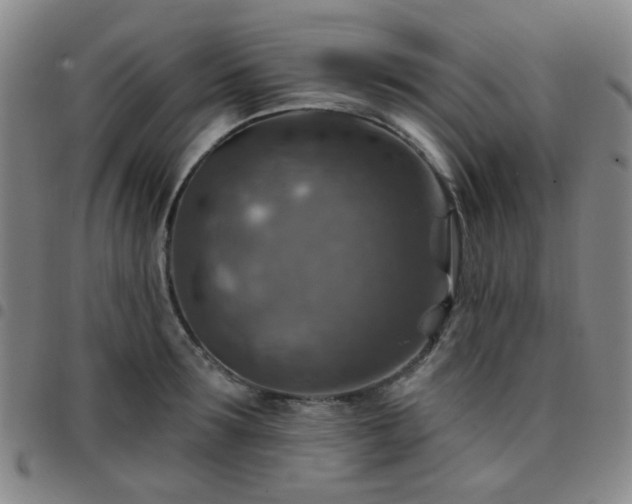 X0000097770899200803141742