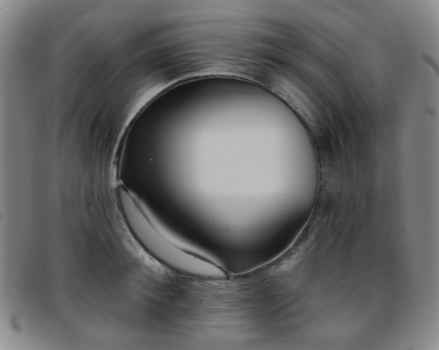 X0000097770900200803141742
