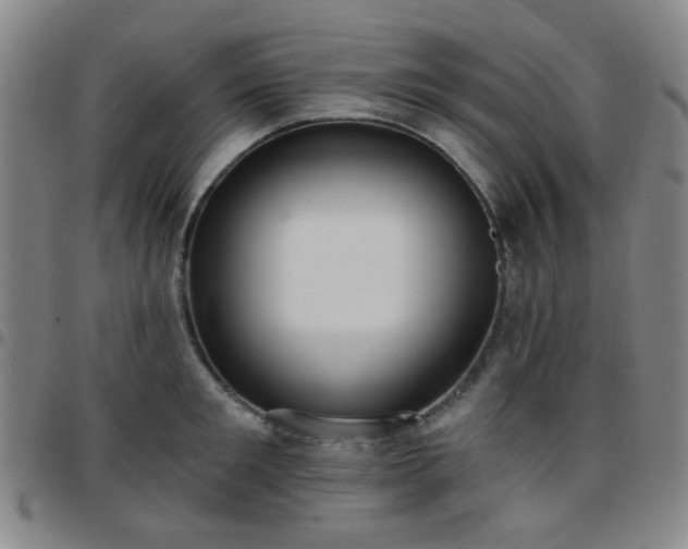X0000097770901200803141742