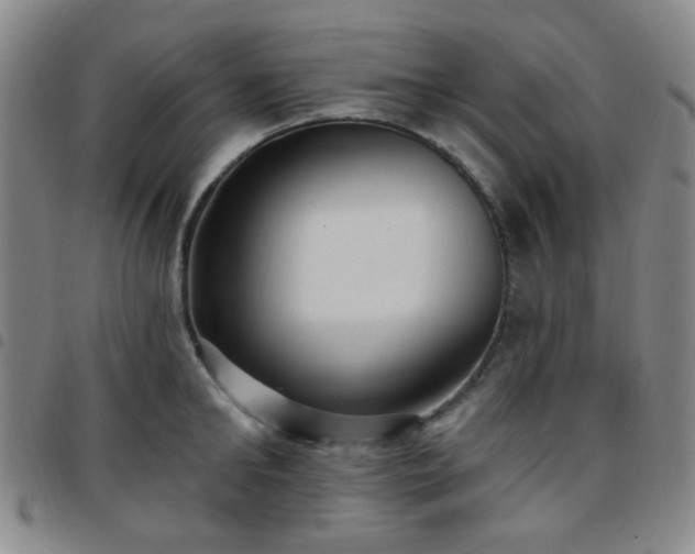 X0000097770902200803141742