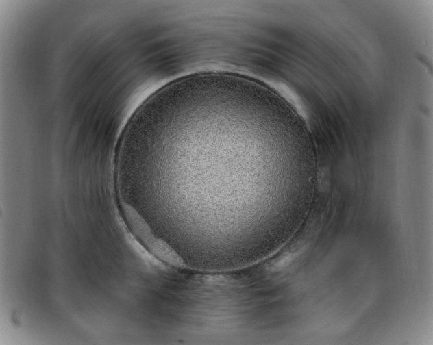 X0000097770903200803141742