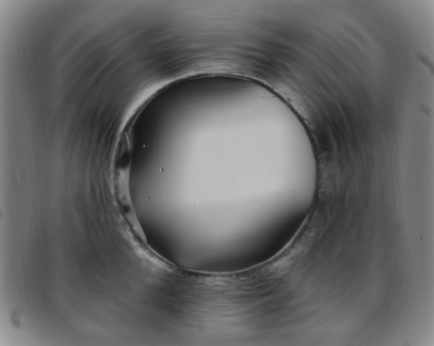 X0000097770904200803141742