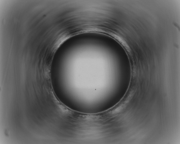 X0000097770905200803141742