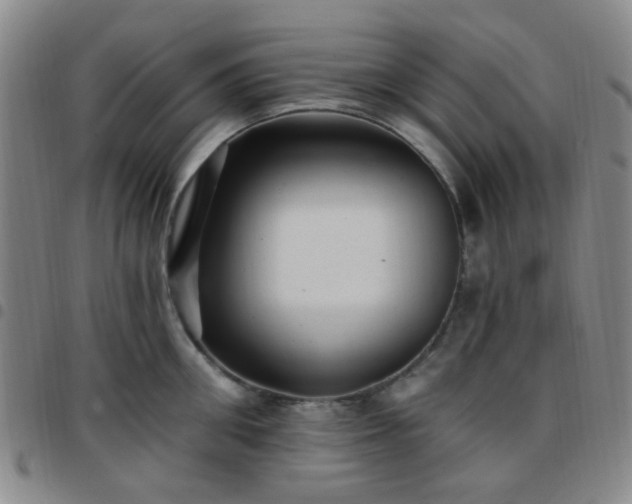 X0000097770906200803141742