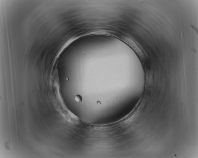 X0000097770908200803141742