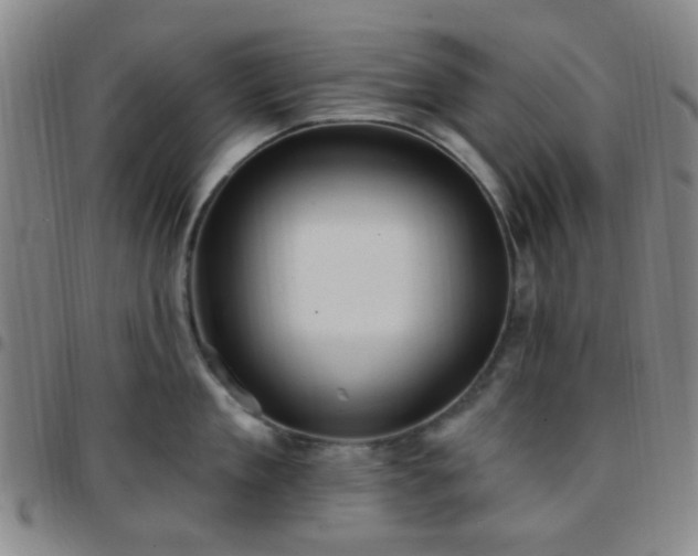 X0000097770909200803141742