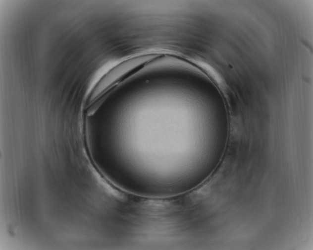 X0000097770910200803141742