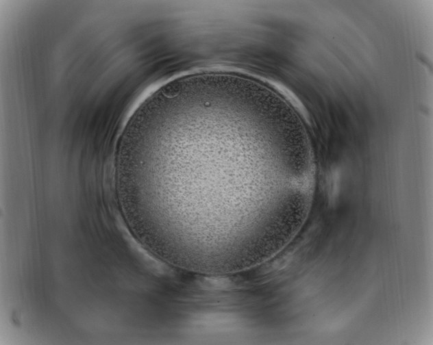X0000097770911200803141742