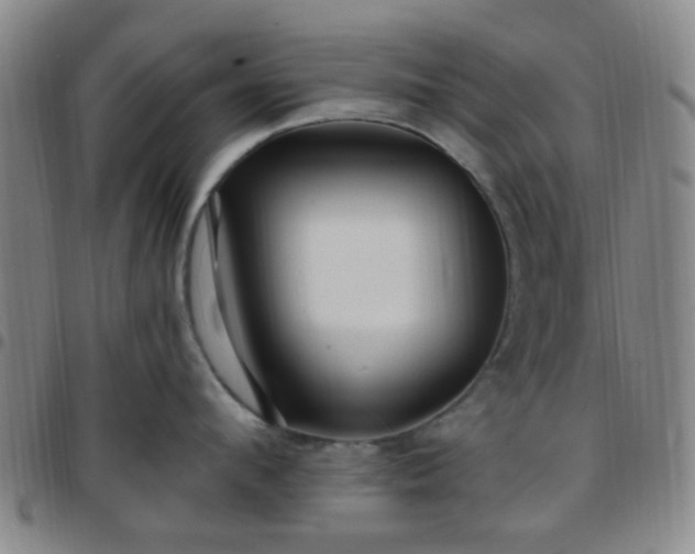 X0000097770912200803141742