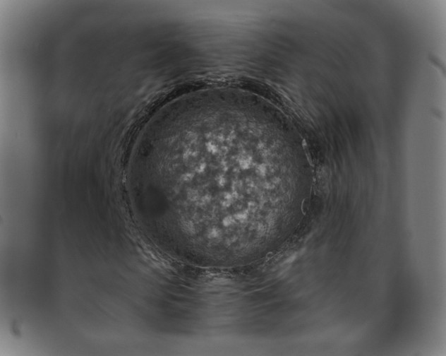 X0000097770913200803141741