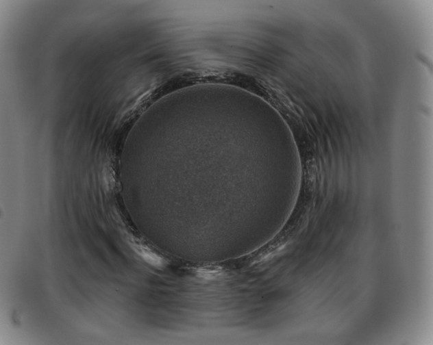 X0000097770916200803141742