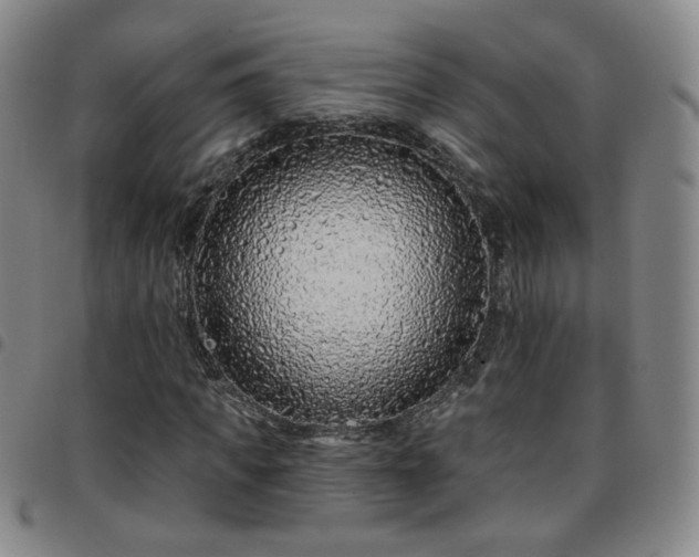 X0000097770917200803141742