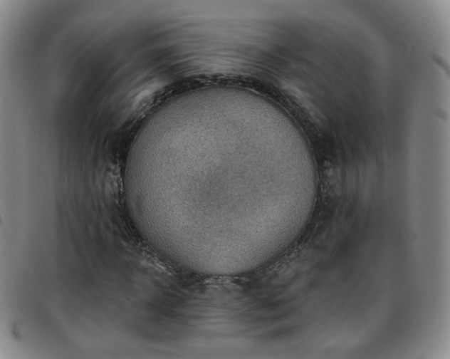 X0000097770918200803141742