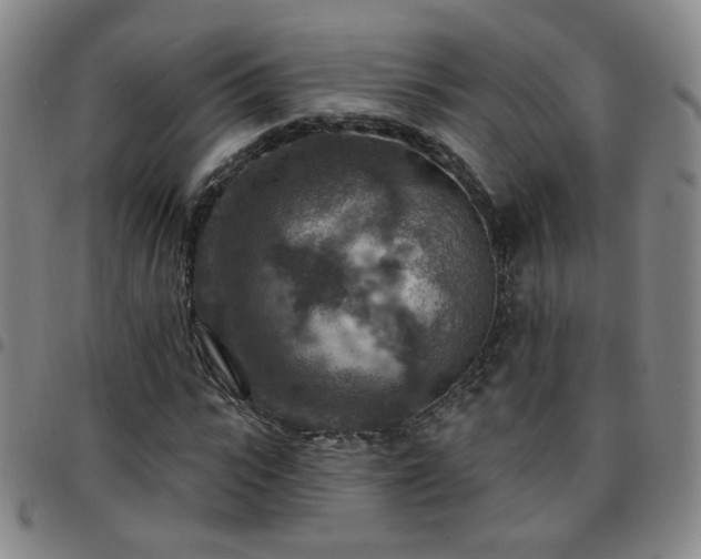 X0000097770919200803141742