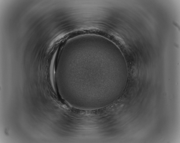 X0000097770920200803141742