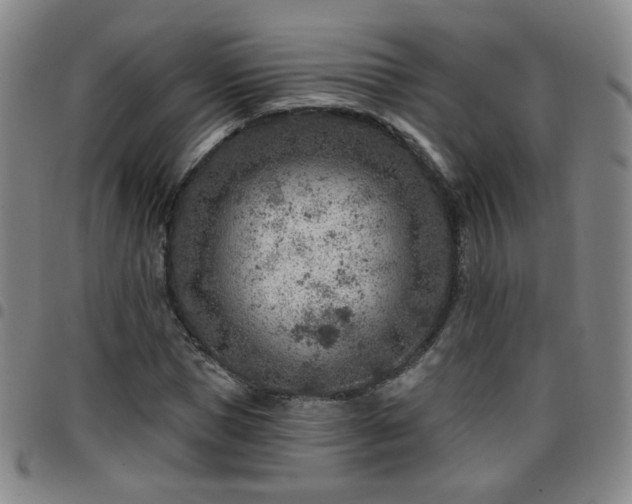 X0000097770921200803141742