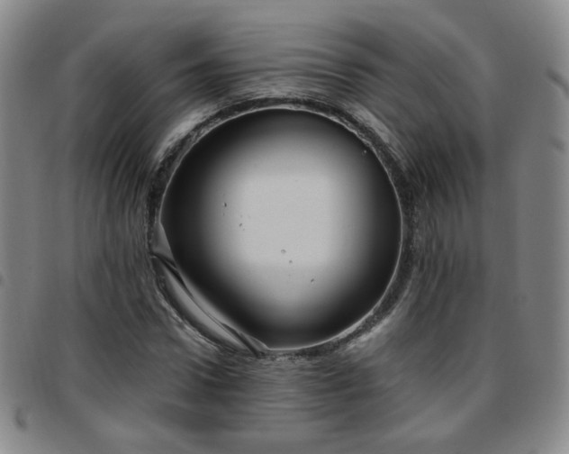 X0000097770922200803141742