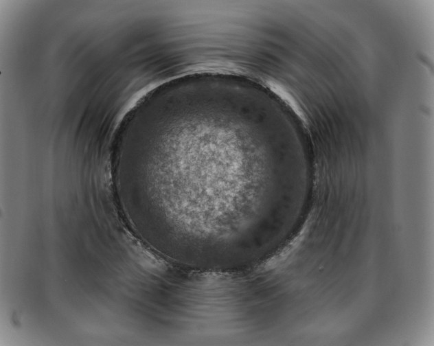 X0000097770923200803141742