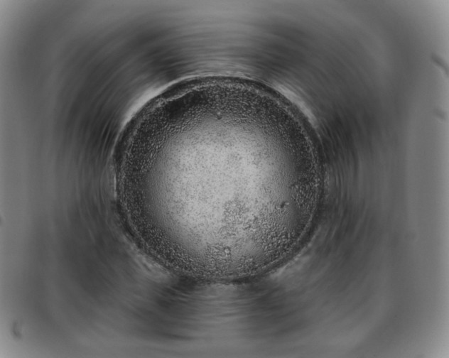 X0000097770925200803141742