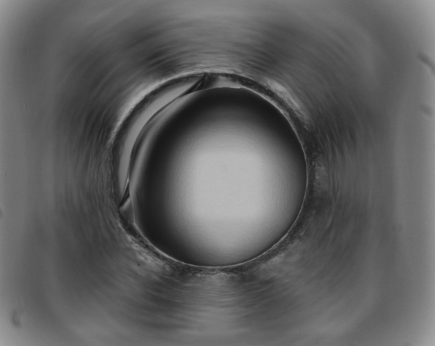 X0000097770926200803141742