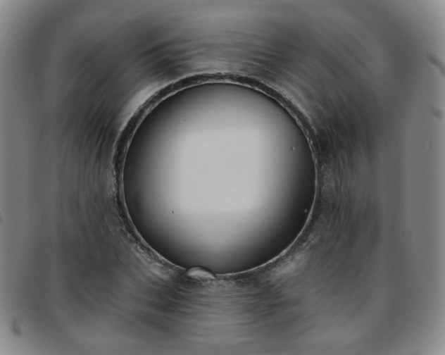 X0000097770927200803141742