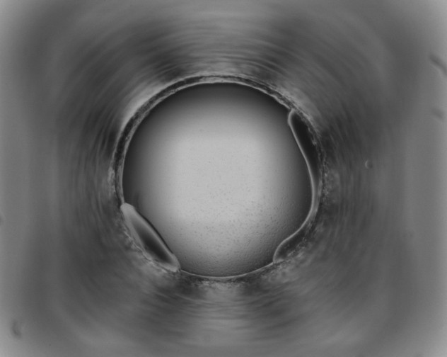 X0000097770928200803141742