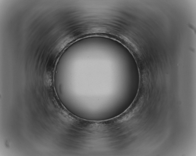 X0000097770929200803141742