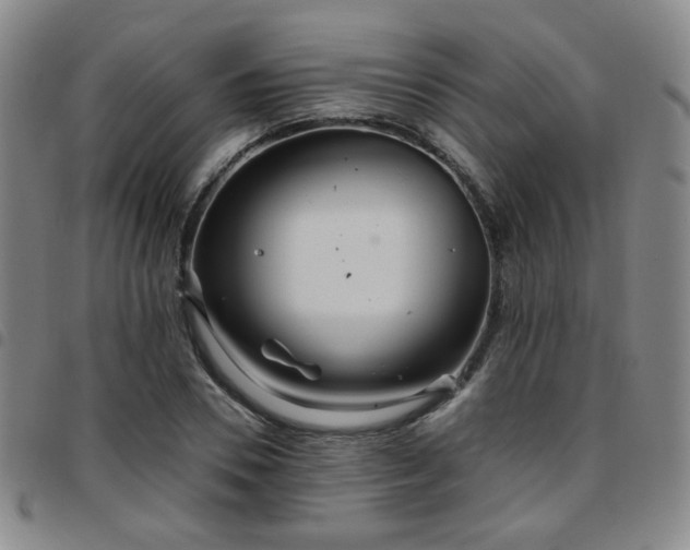 X0000097770930200803141742