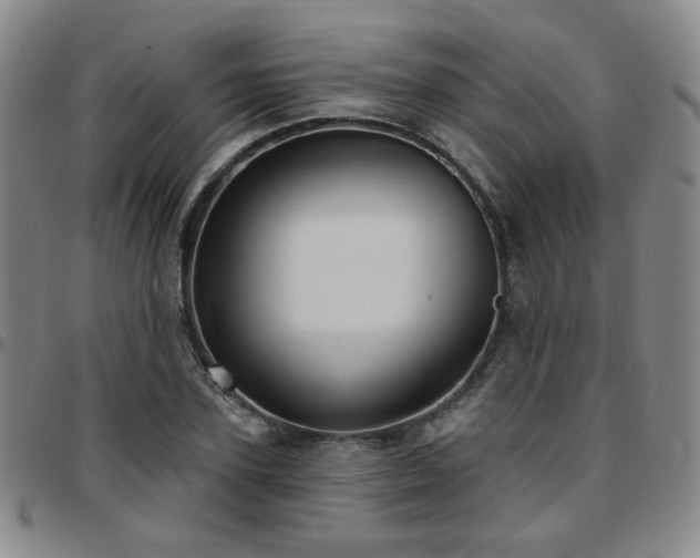 X0000097770931200803141742
