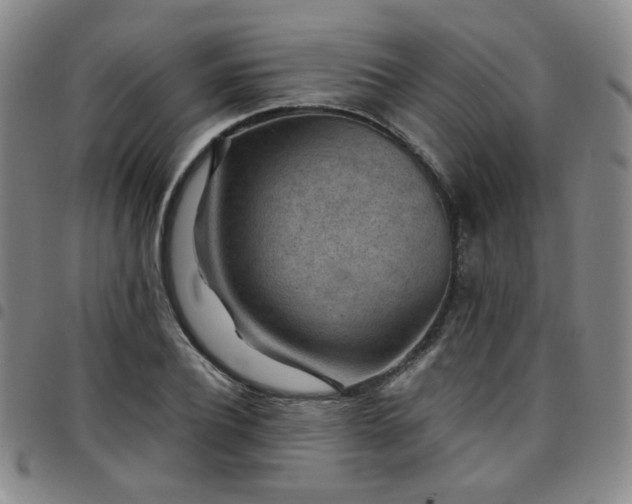 X0000097770932200803141742
