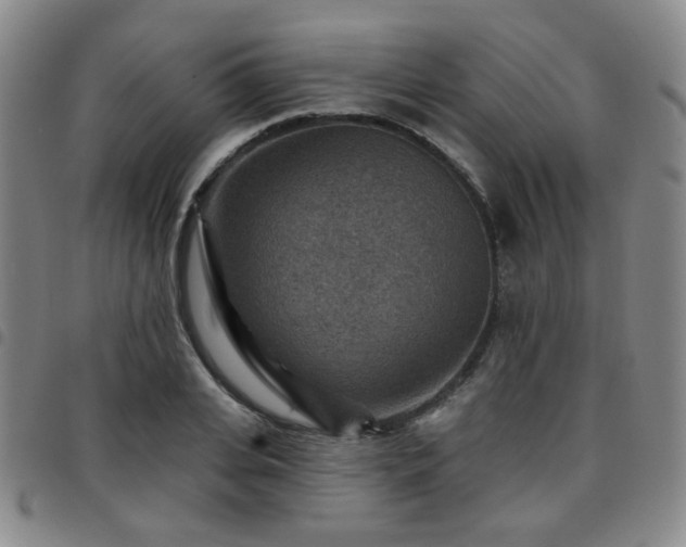 X0000097770935200803141742