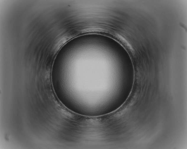 X0000097770937200803141742