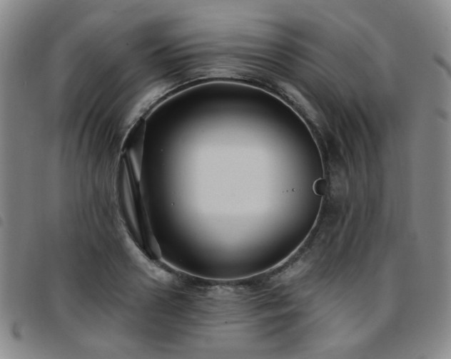 X0000097770938200803141742