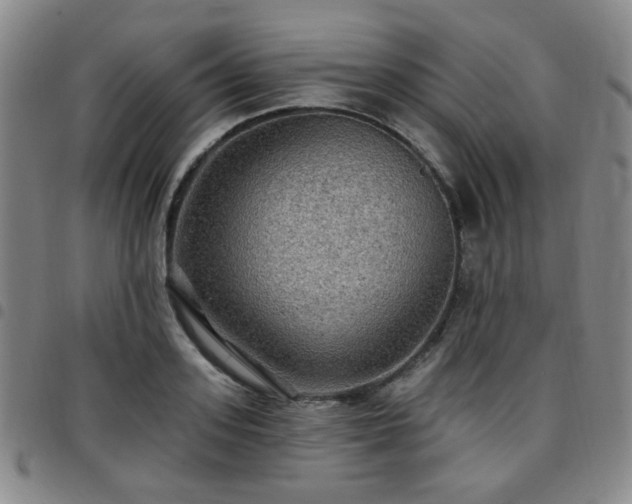 X0000097770939200803141742