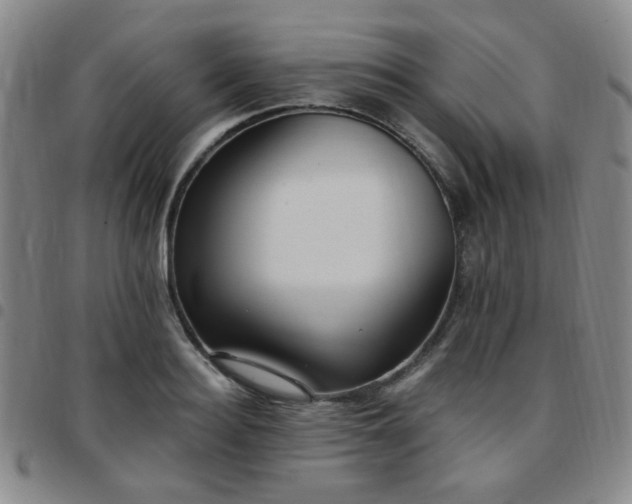 X0000097770940200803141742