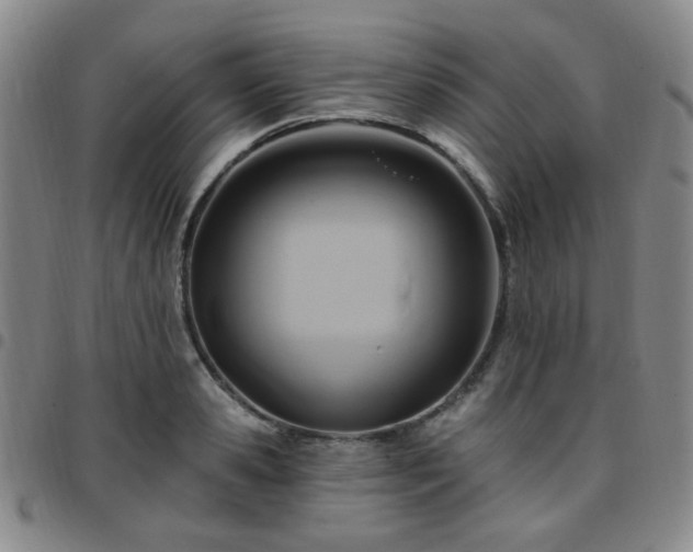 X0000097770941200803141742
