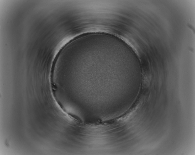 X0000097770943200803141742