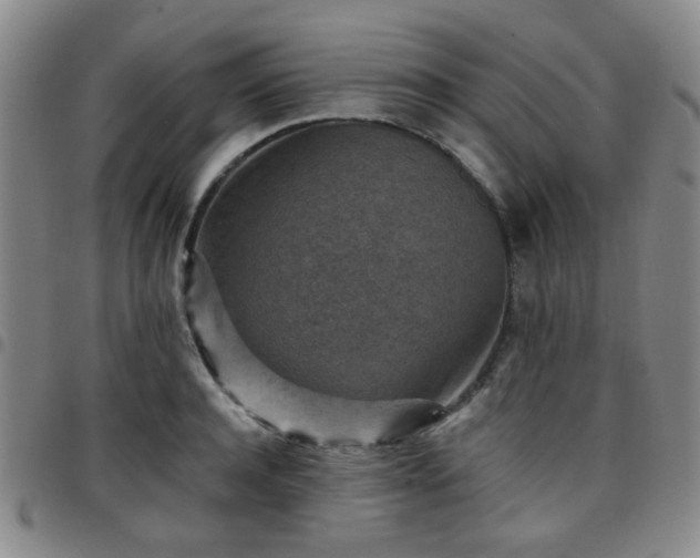 X0000097770944200803141742