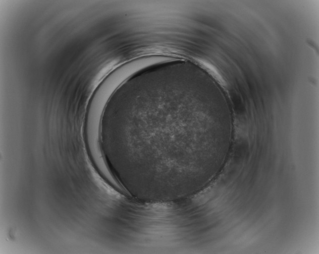 X0000097770946200803141742