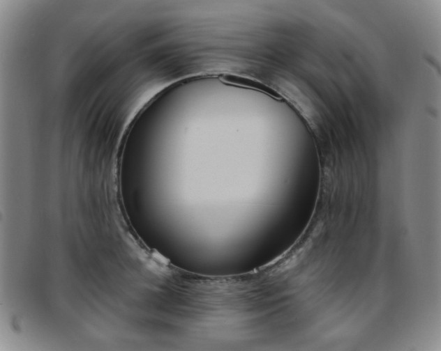 X0000097770948200803141742
