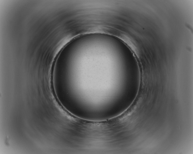 X0000097770949200803141742