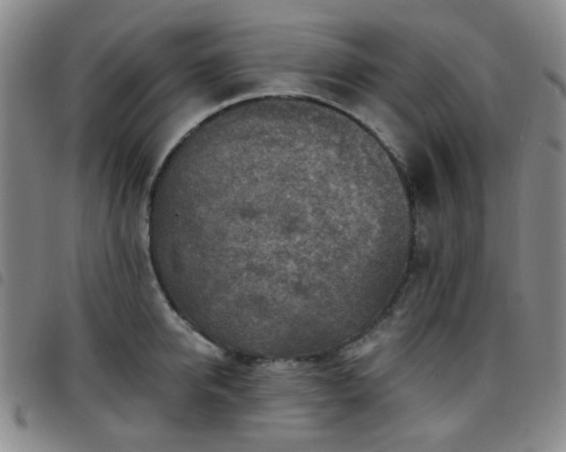X0000097770950200803141742