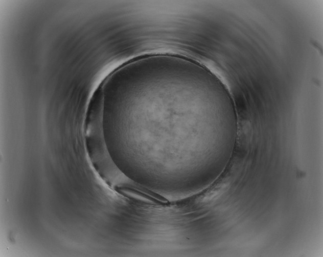 X0000097770951200803141742