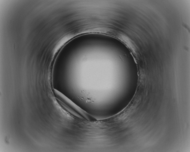 X0000097770952200803141742