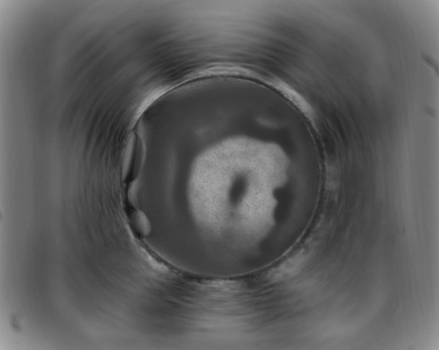 X0000097770953200803141742