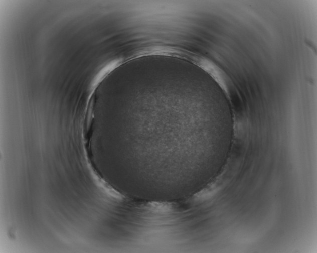 X0000097770954200803141742